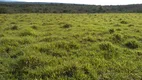 Foto 20 de Fazenda/Sítio à venda, 2662000m² em Zona Rural, Claraval