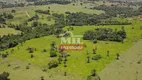 Foto 2 de Fazenda/Sítio à venda, 145200m² em Setor Central, Caturaí