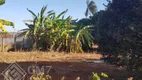 Foto 15 de Fazenda/Sítio com 3 Quartos à venda, 5509m² em Chácaras de Recreio São Joaquim, Goiânia