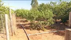 Foto 17 de Fazenda/Sítio com 6 Quartos à venda, 50000m² em Area Rural de Brazlandia, Brasília