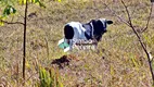 Foto 26 de Fazenda/Sítio à venda, 516000m² em Zona Rural, Simão Pereira