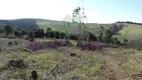 Foto 13 de Lote/Terreno à venda, 20000m² em Pitangal, Jarinu