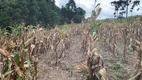 Foto 21 de Fazenda/Sítio à venda, 24000m² em Zona Rural, Mandirituba