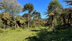 Foto 11 de Fazenda/Sítio à venda, 20000m² em , Urubici