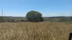 Foto 5 de Fazenda/Sítio à venda, 20000m² em Zona Rural, Alexânia