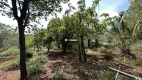 Foto 9 de Fazenda/Sítio com 3 Quartos à venda, 2m² em Centro, Montes Claros