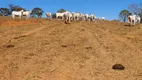 Foto 11 de Fazenda/Sítio à venda em Trevo do Jose Rosario, Leopoldo de Bulhões