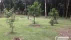 Foto 5 de Fazenda/Sítio com 3 Quartos à venda, 8000m² em Jardim Serrinha, Balsa Nova