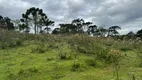 Foto 14 de Fazenda/Sítio à venda, 20000m² em Urubici, Urubici