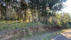 Foto 5 de Lote/Terreno à venda, 9962m² em Peterlongo, Garibaldi