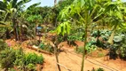Foto 22 de Fazenda/Sítio à venda, 5000m² em Zona Rural, Aragoiânia