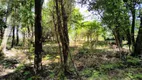 Foto 6 de Fazenda/Sítio com 2 Quartos à venda, 100m² em Campo Grande, Estância Velha