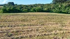 Foto 3 de Fazenda/Sítio com 1 Quarto à venda, 2500m² em Roça Velha, São José dos Pinhais