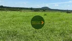 Foto 7 de Fazenda/Sítio com 2 Quartos à venda, 2110000m² em Zona Rural, Araguatins