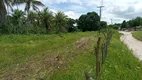 Foto 16 de Fazenda/Sítio à venda, 1500000m² em Guajiru, São Gonçalo do Amarante