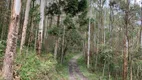 Foto 23 de Fazenda/Sítio à venda, 448000m² em Pedra Branca, Alfredo Wagner