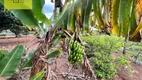 Foto 29 de Fazenda/Sítio à venda, 52000m² em , Angatuba