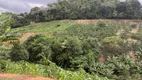 Foto 9 de Fazenda/Sítio com 3 Quartos à venda, 250000m² em , Marechal Floriano