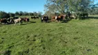 Foto 5 de Fazenda/Sítio com 3 Quartos à venda, 2600000m² em Centro, Bagé