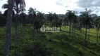 Foto 8 de Fazenda/Sítio à venda, 74844m² em Area Rural de Uberlandia, Uberlândia