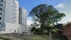 Foto 5 de Lote/Terreno à venda, 728m² em Presidente Vargas, Caxias do Sul