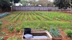 Foto 8 de Fazenda/Sítio com 4 Quartos à venda, 45000m² em Brazlândia, Brasília