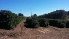 Foto 20 de Fazenda/Sítio à venda, 8000000m² em Centro, Lambari