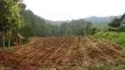 Foto 26 de Fazenda/Sítio com 2 Quartos à venda, 150m² em Linha Olinda, Nova Petrópolis