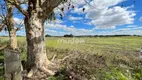 Foto 9 de Lote/Terreno à venda, 183489m² em Centro, São José dos Pinhais