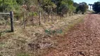 Foto 3 de Fazenda/Sítio com 2 Quartos à venda, 50m² em Zona Rural, Santa Tereza do Oeste