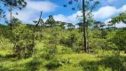 Foto 46 de Fazenda/Sítio com 5 Quartos à venda, 435600m² em Campo Alto, Tijucas do Sul