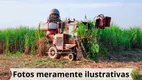 Foto 7 de Fazenda/Sítio à venda, 500m² em Zona Rural, Regente Feijó