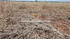 Foto 2 de Fazenda/Sítio à venda em Setor Central, Nerópolis