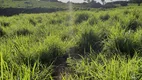 Foto 14 de Fazenda/Sítio à venda, 200000m² em , Monte Alegre