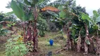 Foto 15 de Fazenda/Sítio com 3 Quartos à venda, 9000m² em Centro, Chácara