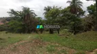 Foto 6 de Fazenda/Sítio com 3 Quartos à venda, 127m² em Zona Rural, Florestal