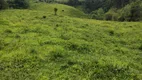 Foto 19 de Fazenda/Sítio à venda, 7000m² em Zona Rural, Delfim Moreira