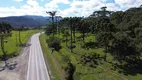 Foto 11 de Fazenda/Sítio à venda, 60000m² em Esquina, Urubici