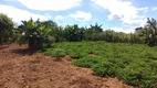 Foto 11 de Fazenda/Sítio com 3 Quartos à venda, 7700m² em Zona Rural, Petrolina de Goiás