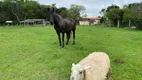 Foto 11 de Fazenda/Sítio com 3 Quartos à venda, 181500m² em Area Rural de Itapetininga, Itapetininga