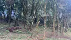 Foto 6 de Lote/Terreno à venda, 802m² em Floresta, Gramado