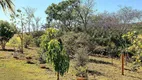 Foto 15 de Fazenda/Sítio com 2 Quartos à venda, 600m² em Setor Central, Hidrolândia