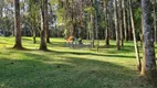 Foto 6 de Fazenda/Sítio com 3 Quartos à venda, 30000m² em , Campo Alegre