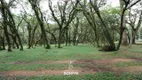 Foto 32 de Fazenda/Sítio à venda, 50000m² em Cachoeira, São José dos Pinhais