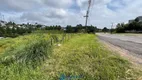 Foto 9 de Lote/Terreno para alugar, 1000m² em São Ciro, Caxias do Sul