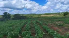 Foto 10 de Fazenda/Sítio com 3 Quartos à venda, 11m² em Cobe de Cima, Vera Cruz