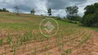 Foto 23 de Fazenda/Sítio à venda, 20m² em Zona Rural, Hidrolândia