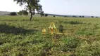 Foto 15 de Fazenda/Sítio com 1 Quarto à venda, 100m² em Zona Rural, Campo Grande