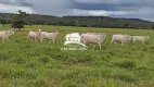 Foto 12 de Fazenda/Sítio à venda, 1m² em , Pedro Afonso