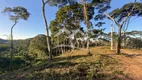 Foto 3 de Lote/Terreno à venda, 1770m² em Pedro do Rio, Petrópolis